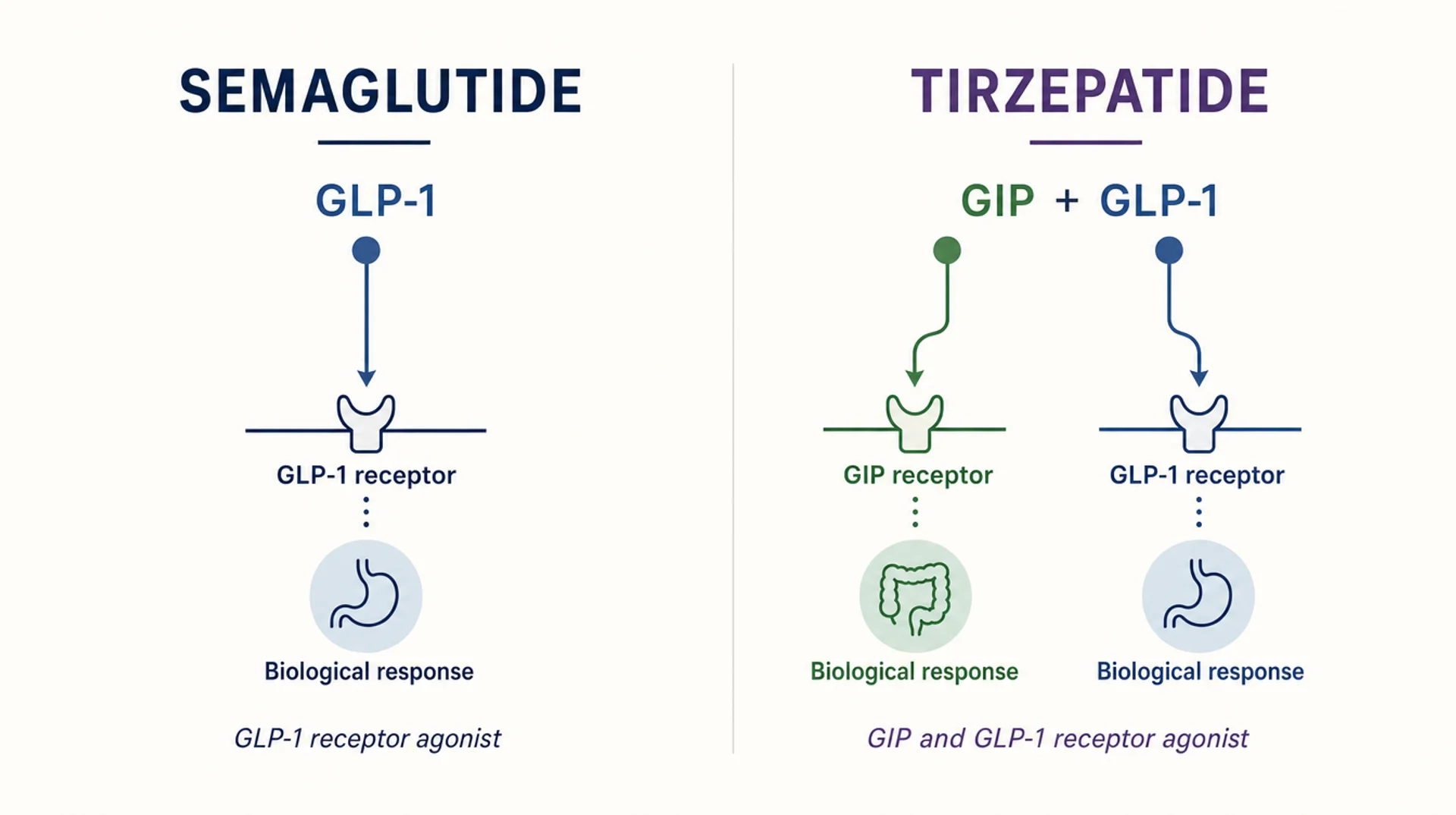 Semaglutide acts on one receptor pathway, tirzepatide on two
